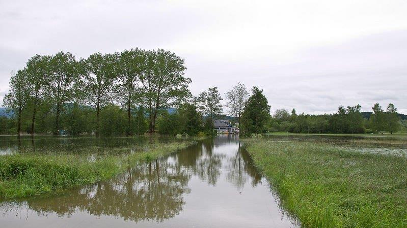 Wallersee trat über Ufer