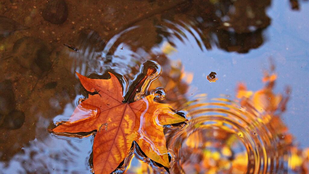 symb_herbst