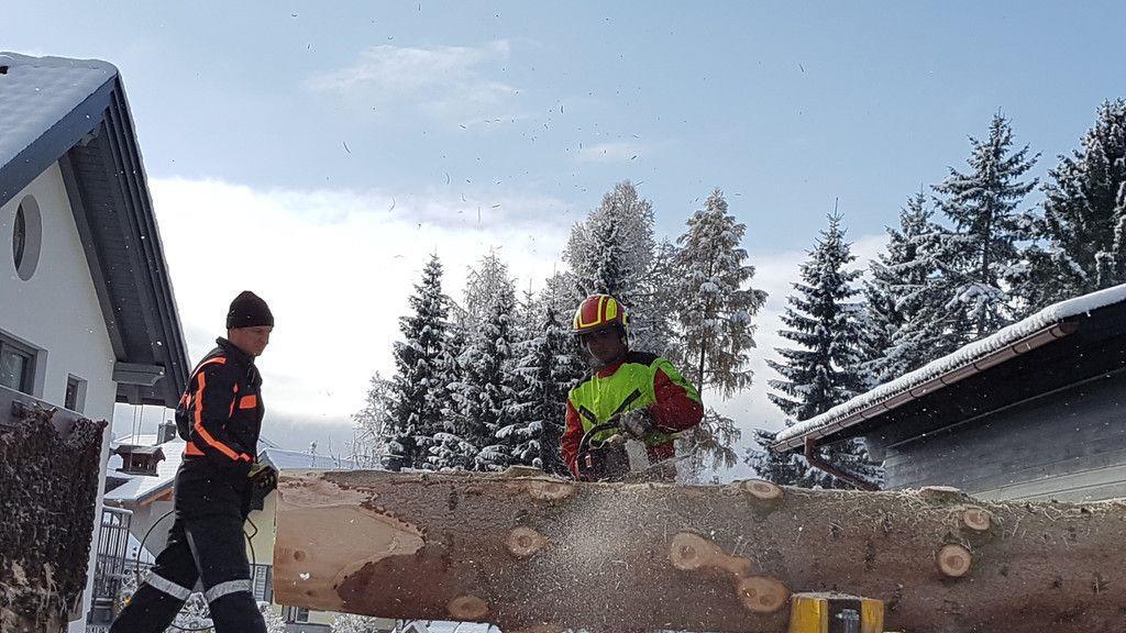 Baumfällen Mariapfarr