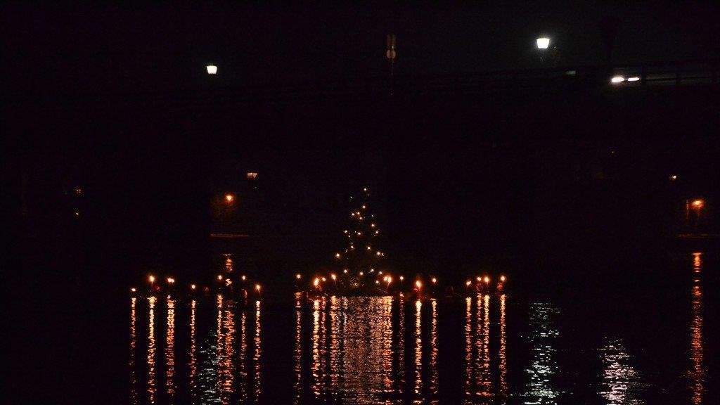 Christbaumschwimmen in Schärding
