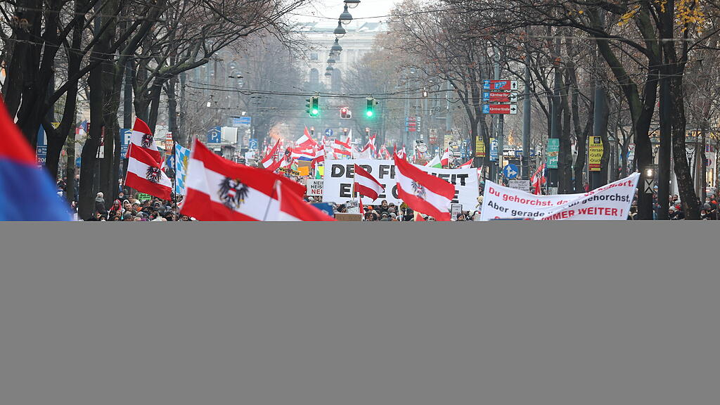 Corona-Demo in Wien II