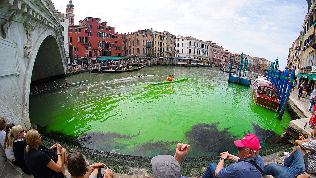 Grüner Canale Grande in Venedig