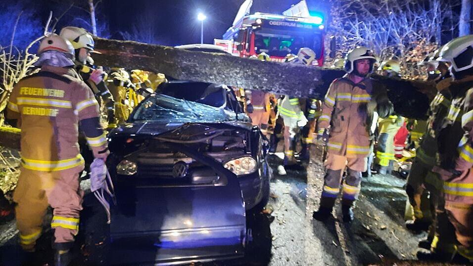 Baum trifft Auto bei Fahrt