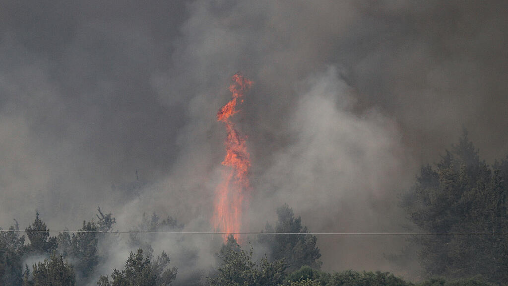 Israel, Feuer, Waldbrand