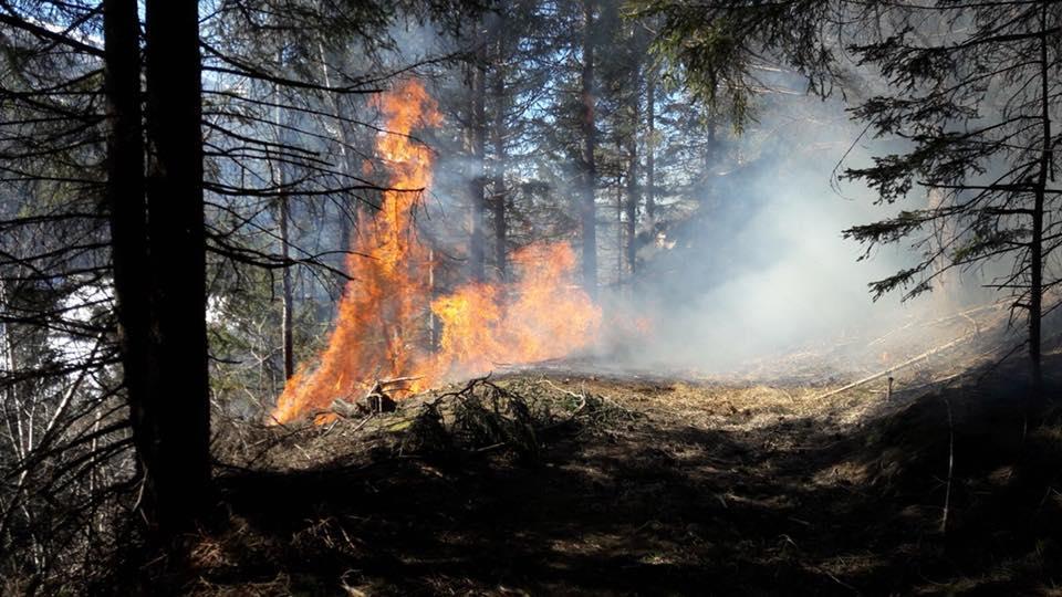 Waldbrand in St. Michael