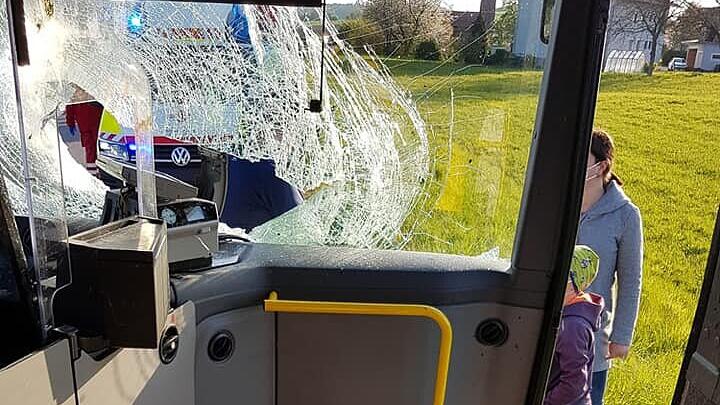 Rehbock springt in OÖ durch Busscheibe