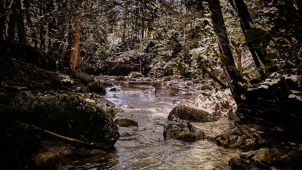 Alterbach, Gaisberg-6.jpg
