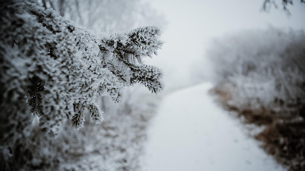 Schnee am Gaisberg