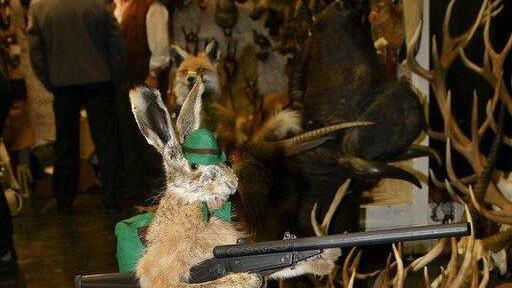 Die Jagdmesse ist eröffnet