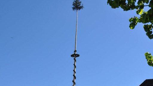 Maibaumaufstellen in Piding und Ainring