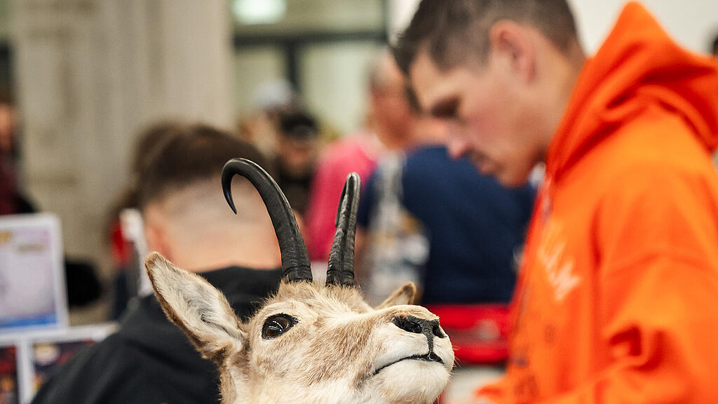 Nacht-, Antik- und Trödelmarkt