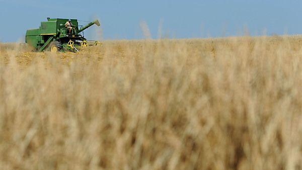 Regen dringend benötigt, sonst drohen Ernteverluste