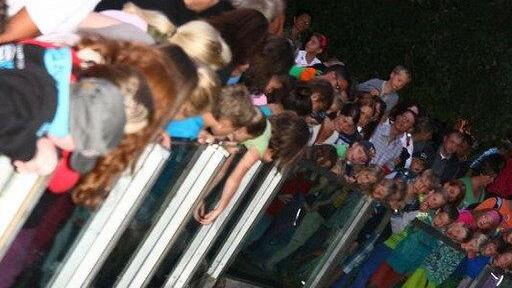 Nachtzoo in Salzburg