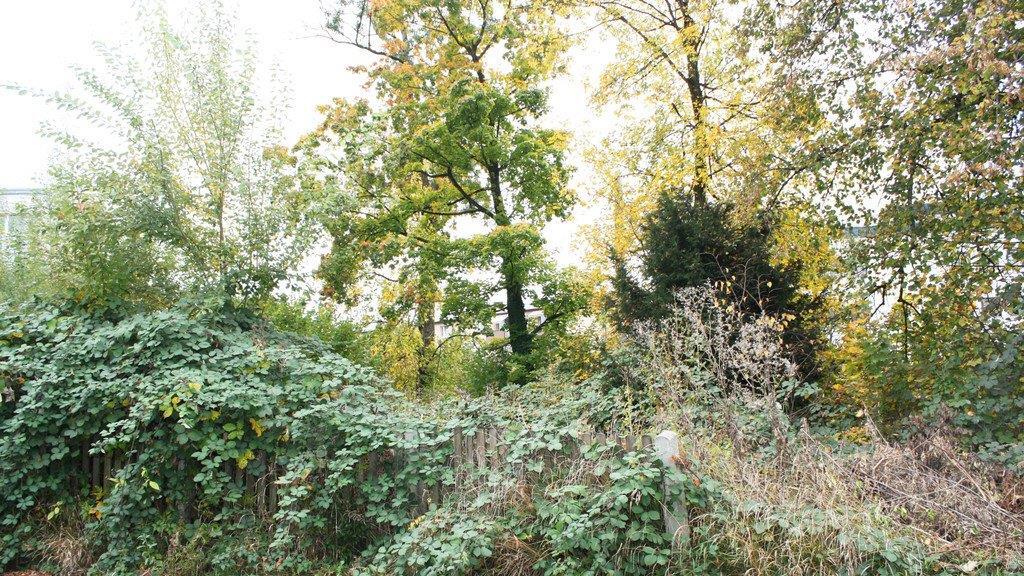 Hier soll gebaut werden