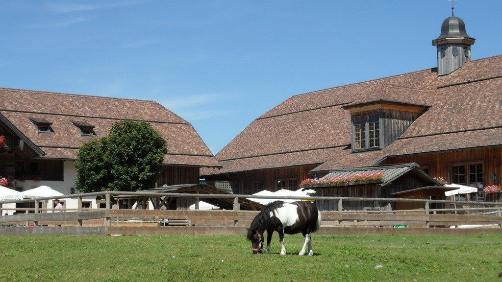 Weitere Tierbilder