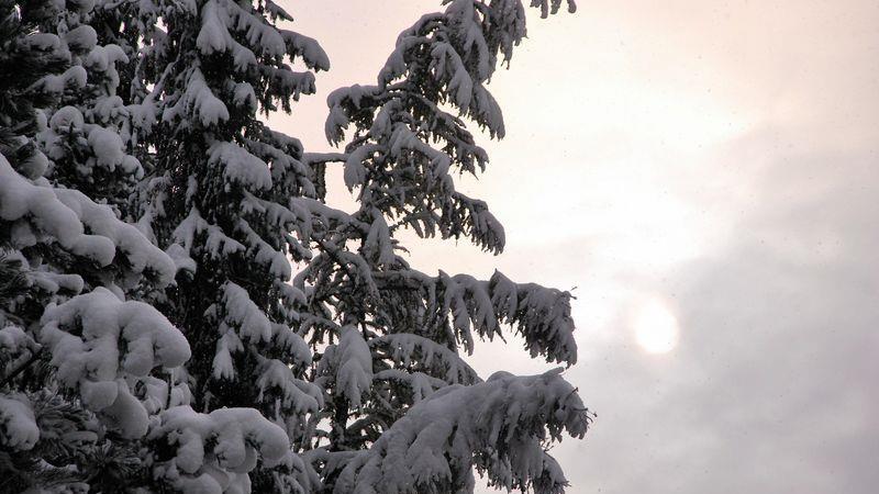 Winter in Grödig