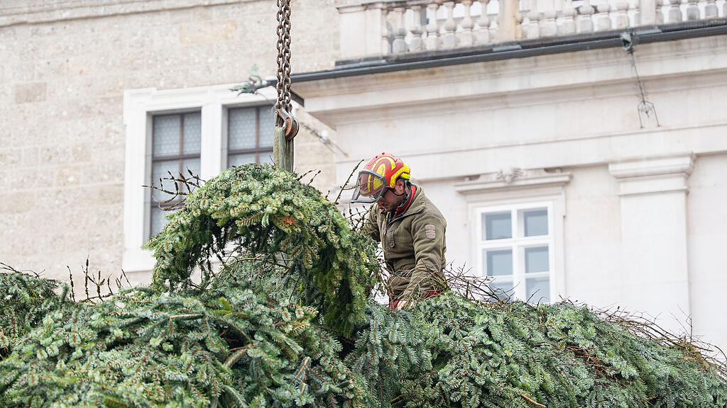Baum am Christkindlmarkt eingetroffen