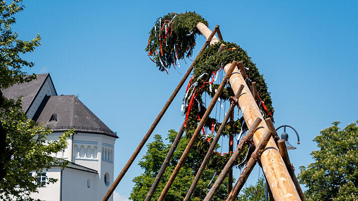 Maibaumaufstellen in Wals (am Kirchenplatz)