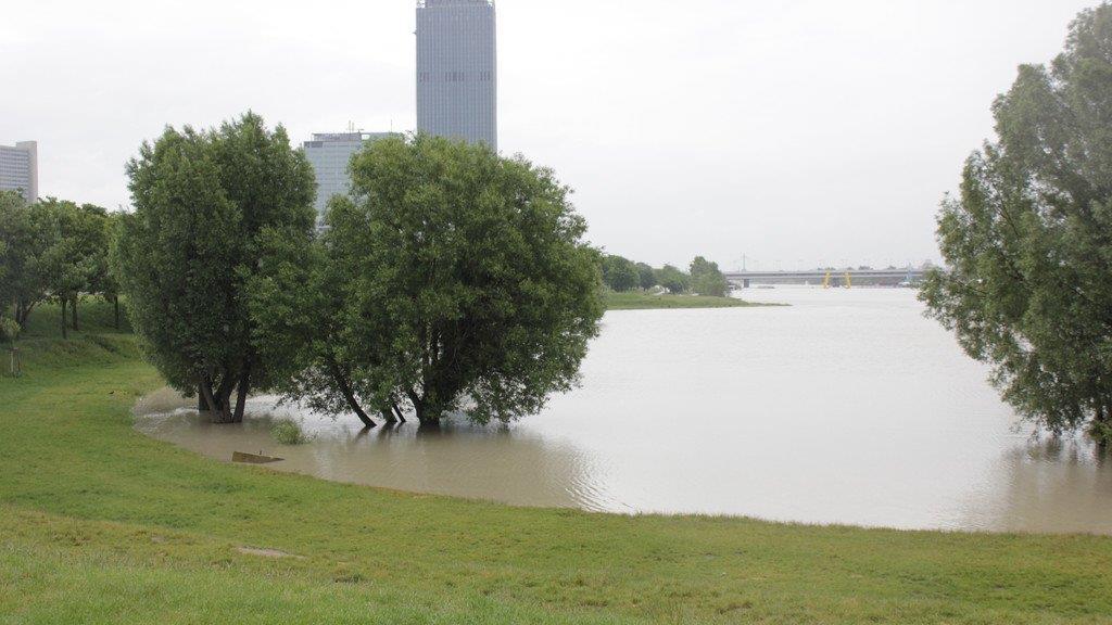 Hochwasser in Wien (Copa Cagrana)