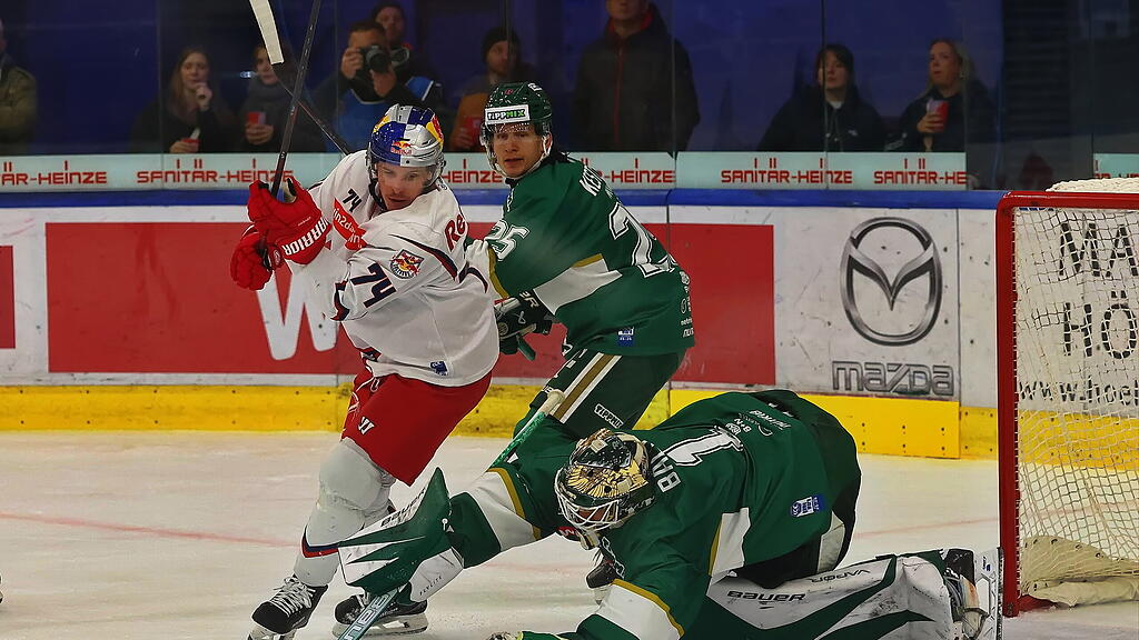 ICE Hockey League: EC Red Bull Salzburg gegen Ferencvaros Budapest