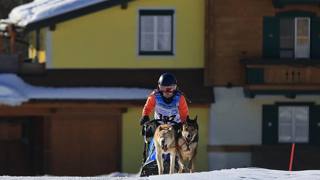 25. Hundeschlittenrennen in Werfenweng