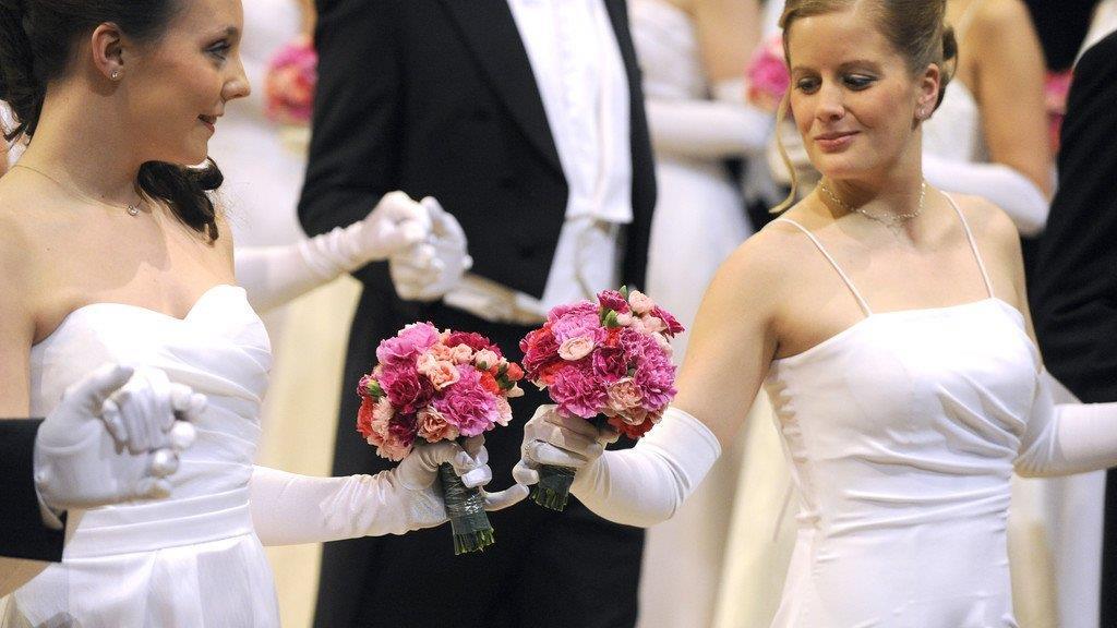 Opernball 2013: Debütanten