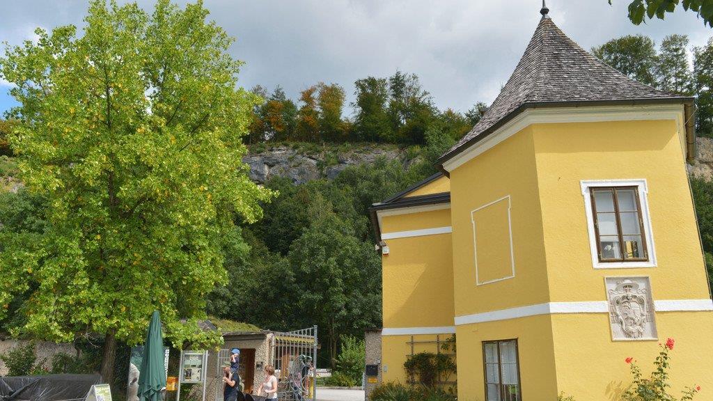 Suche nach Luchs geht weiter