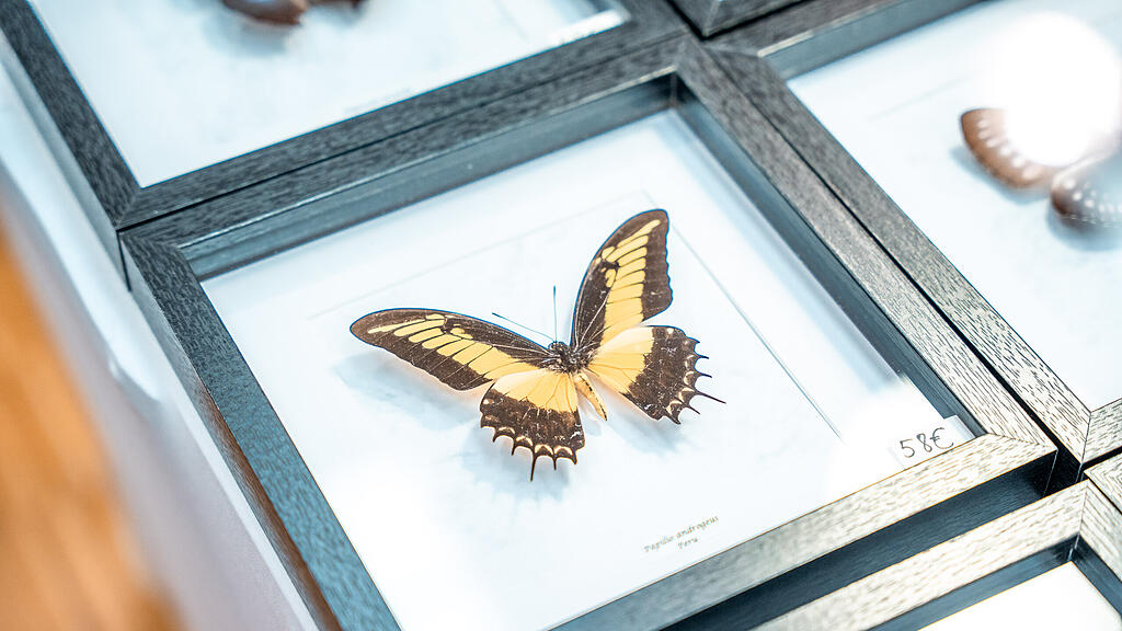 Design & Kunstmarkt in der Brandboxx