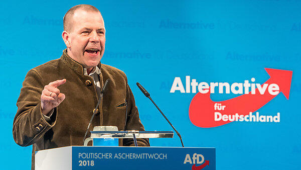 Vilimsky kann sich auch die AfD in einer rechten EU-Allianz vorstellen