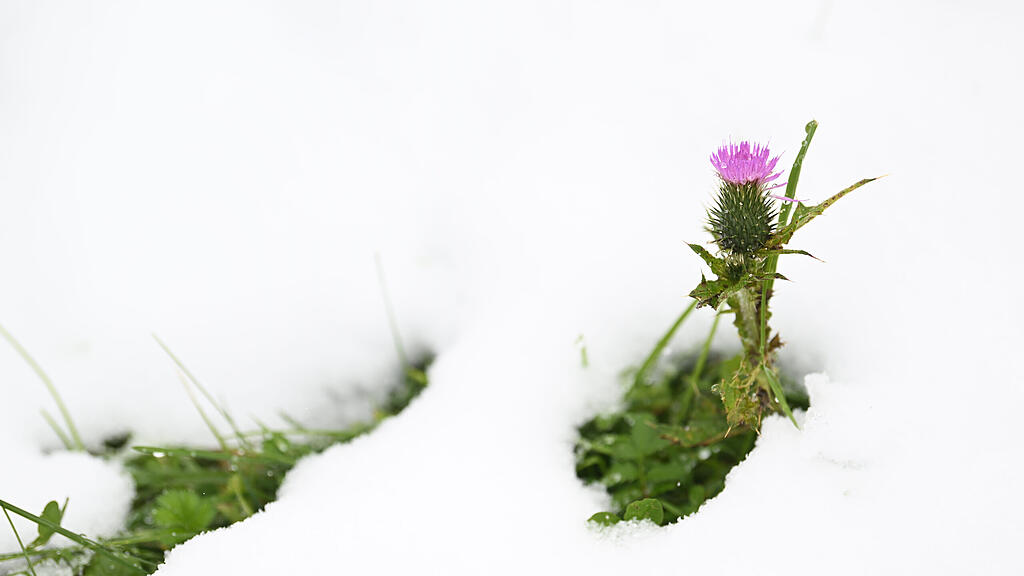 symb_schnee symb_winter symb_obertauern