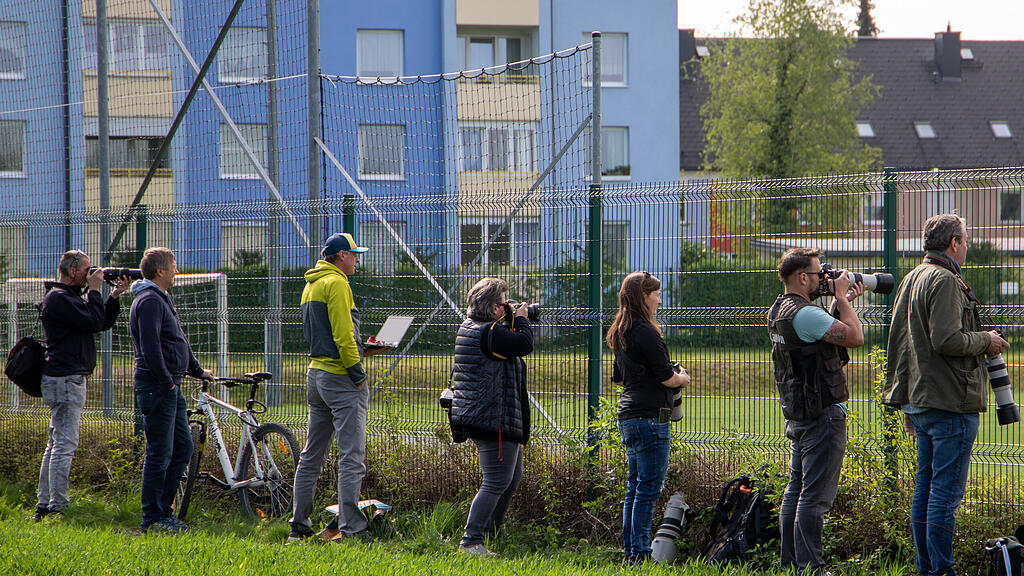 RC Red Bull Salzburg, Training, Journalisten, Fotografen
