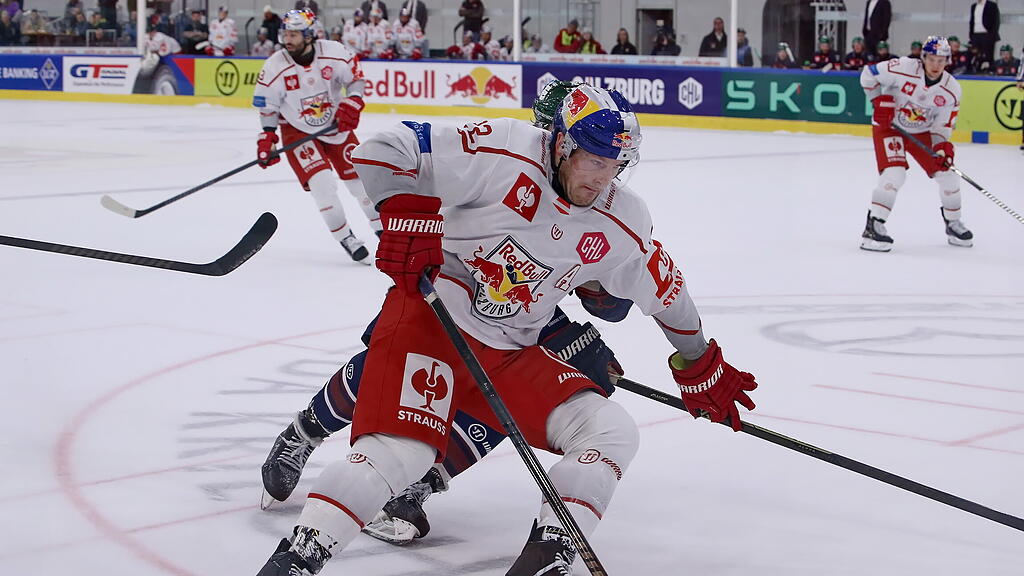 Eisbullen gegen Eisbären Berlin