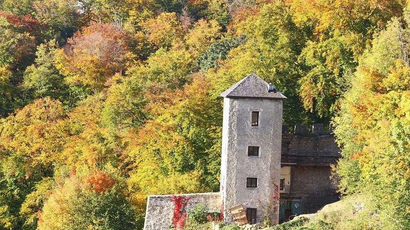 Herbstlicher Mönchsberg