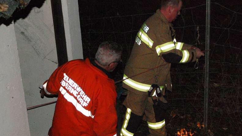 Bilder der Rettungsaktion
