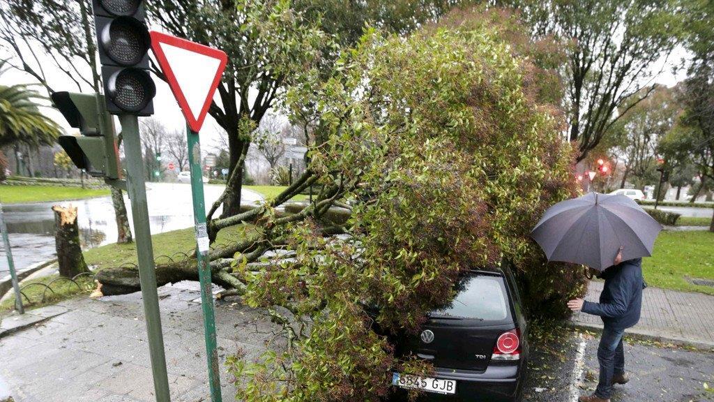 Sturmtief "Dirk": 100.000 zu Weihnachten ohne Strom