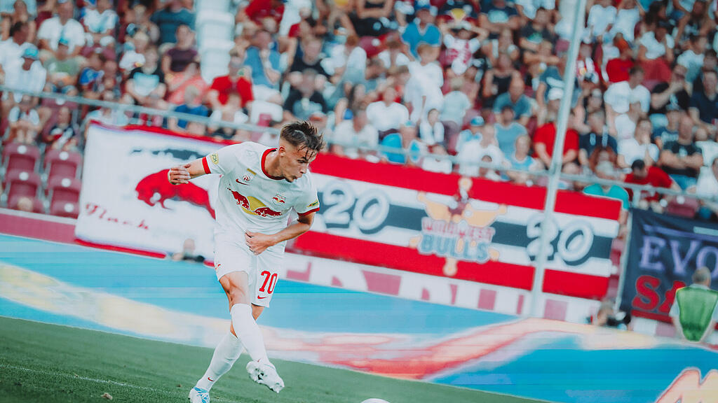 Amar Dedic, Red Bull Salzburg