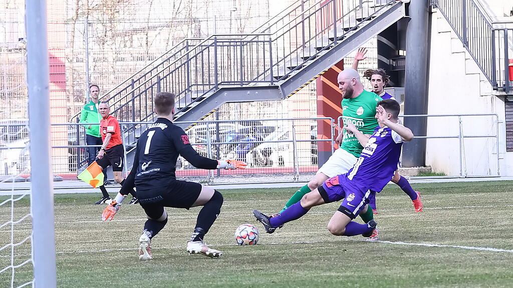 Hallein, Hallwang, Salzburger Liga