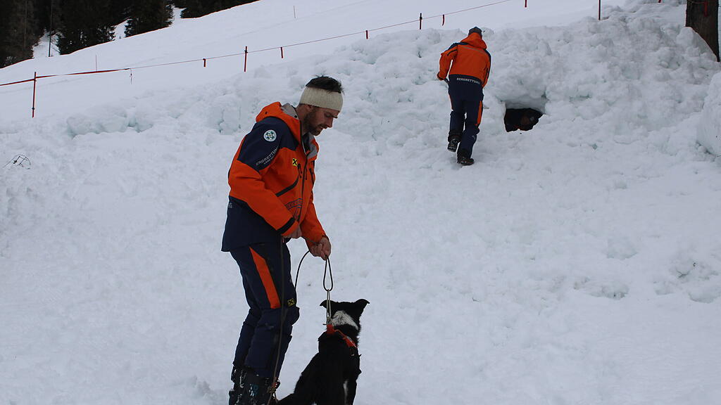 Lawinenhunde Bergrettung Training