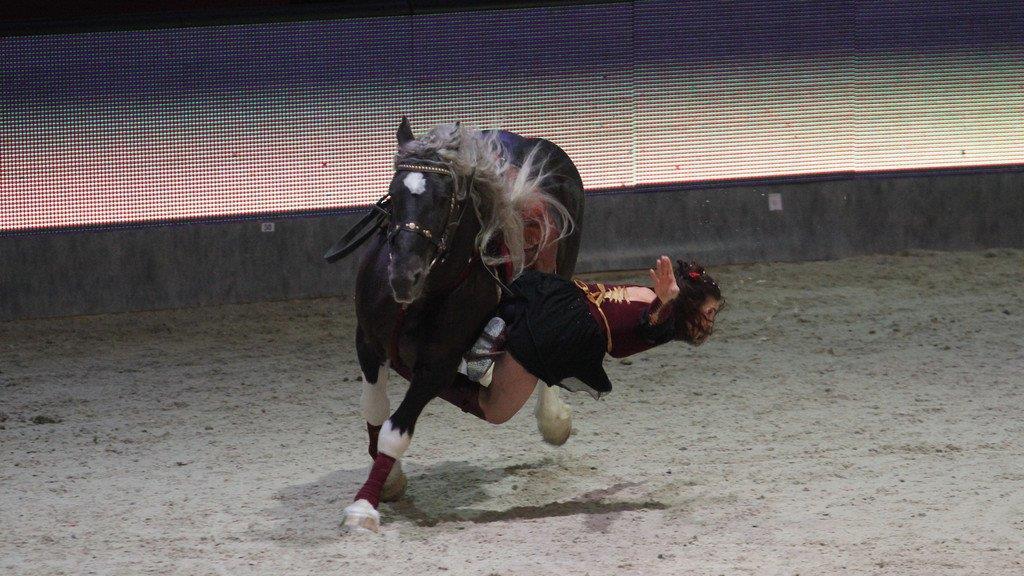Mevisto Amadeus Horse Indoors 2014 in der Salzburgarena