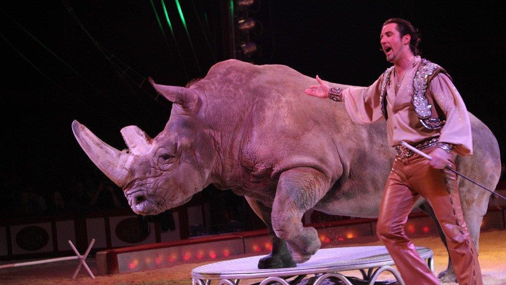 Circus Krone in Traunstein
