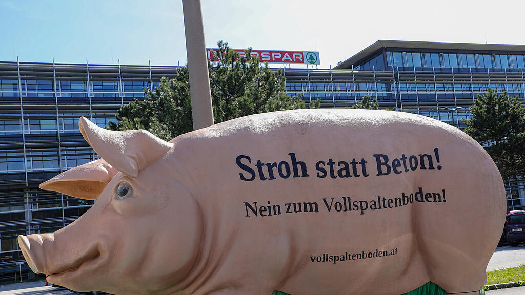 VGT Protest "Grunzi"