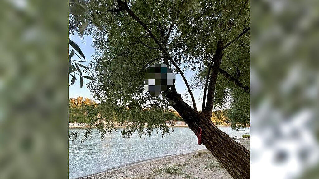Betrunkener auf Baum