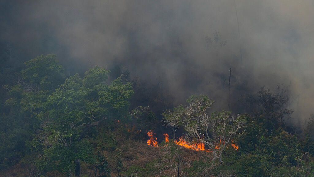 Waldbr\u00e4nde in Brasilien
