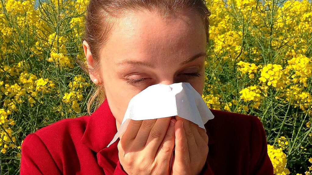 symb_pollen symb_allergie