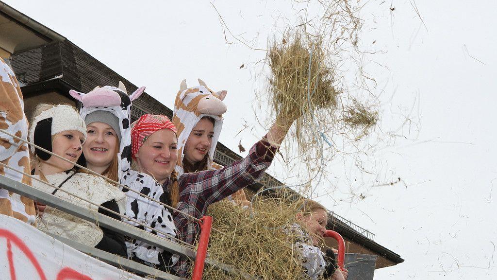 Faschingsumzug in Straßwalchen II