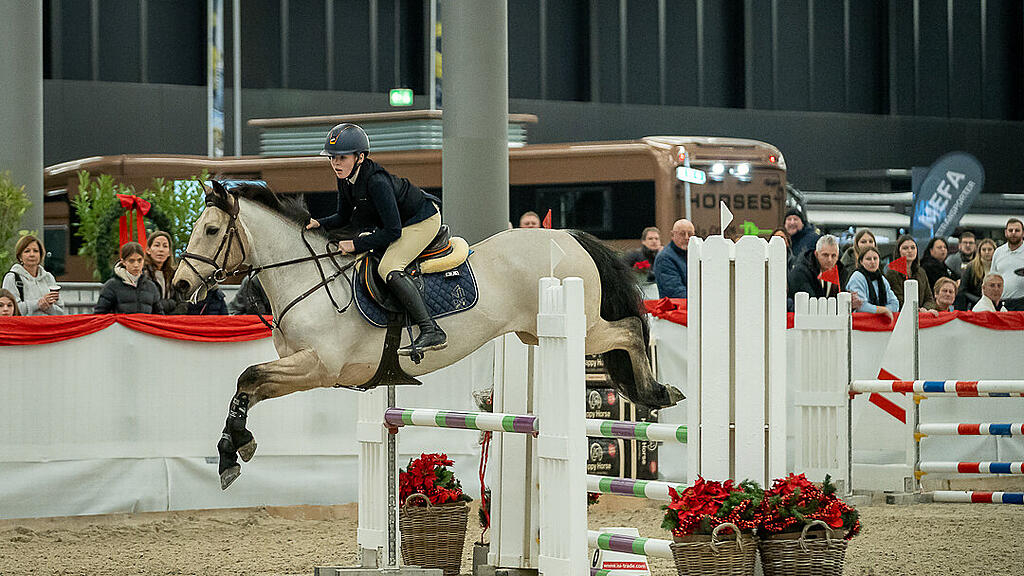 Amadeus Horse Indoors 2023