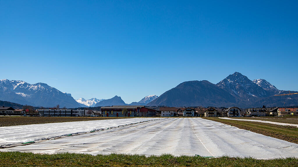 Trockenheit / Dürre in Salzburg