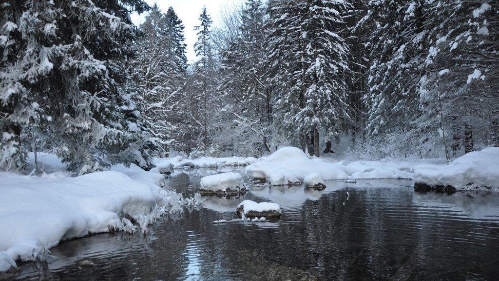 Die Natur genießen