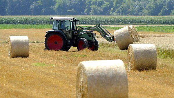 Immer weniger Bauernhöfe in Österreich