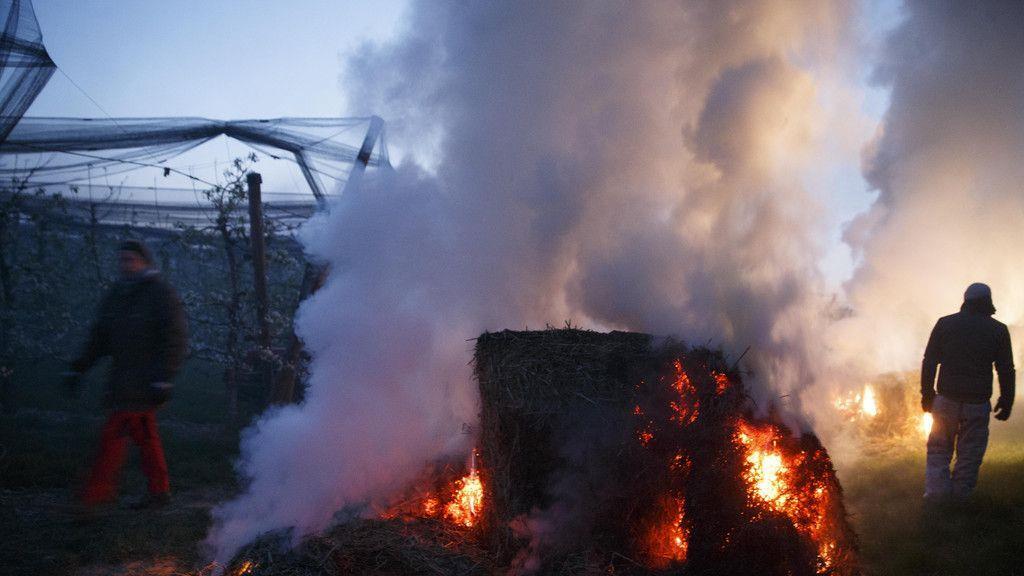 Bauern kämpfen gegen Frost
